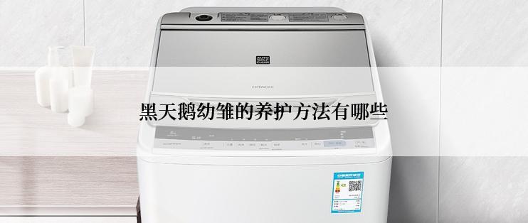 黑天鹅幼雏的养护方法有哪些