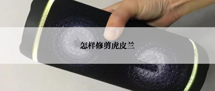 怎样修剪虎皮兰