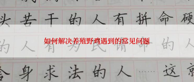如何解决养殖野鸡遇到的常见问题
