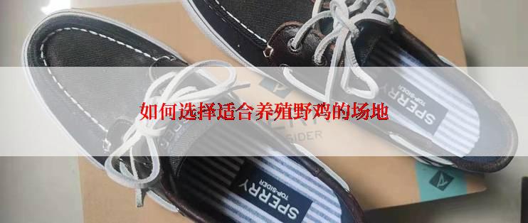 如何选择适合养殖野鸡的场地