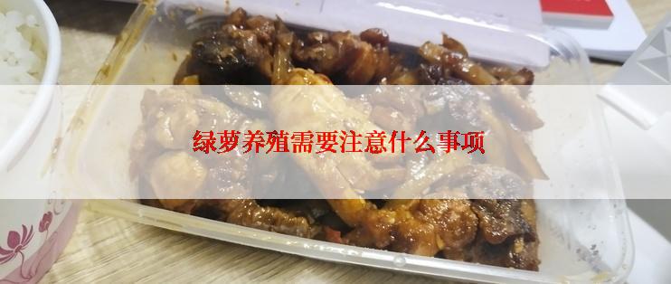  绿萝养殖需要注意什么事项