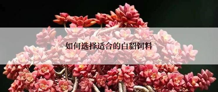 如何选择适合的白貂饲料
