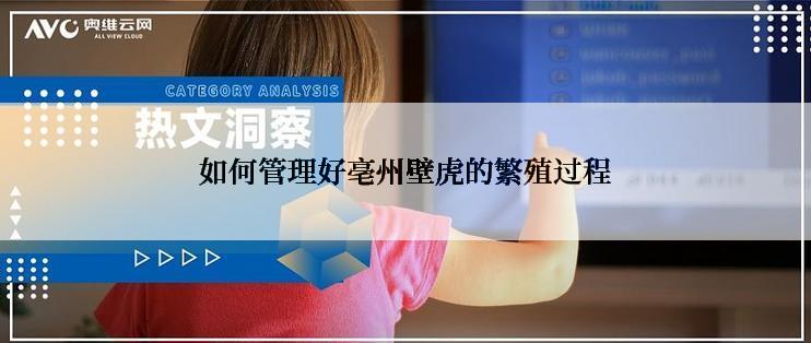 如何管理好亳州壁虎的繁殖过程