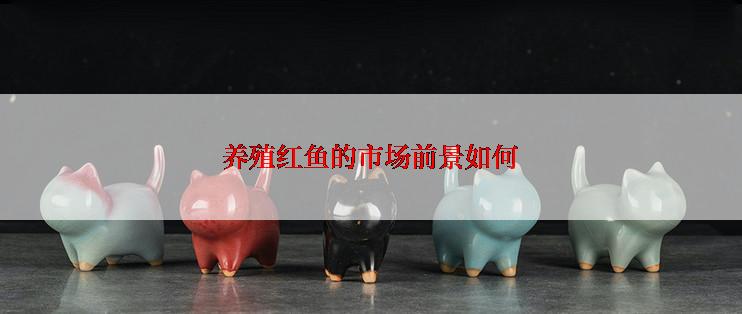 养殖红鱼的市场前景如何