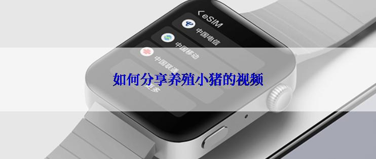 如何分享养殖小猪的视频