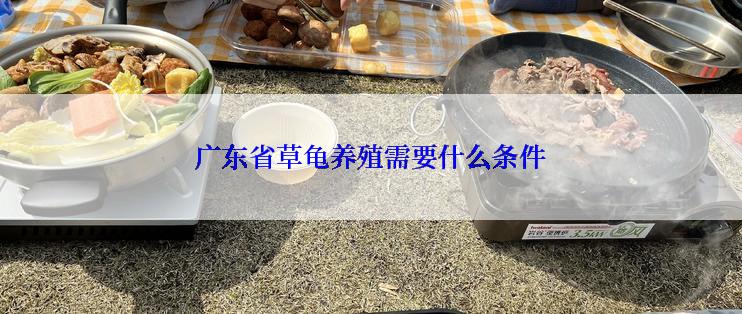 广东省草龟养殖需要什么条件