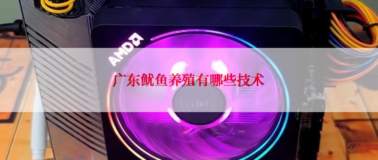 广东鱿鱼养殖有哪些技术