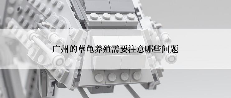 广州的草龟养殖需要注意哪些问题