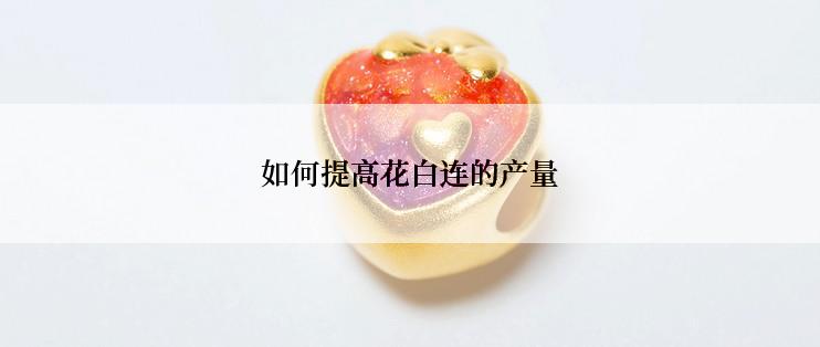 如何提高花白连的产量