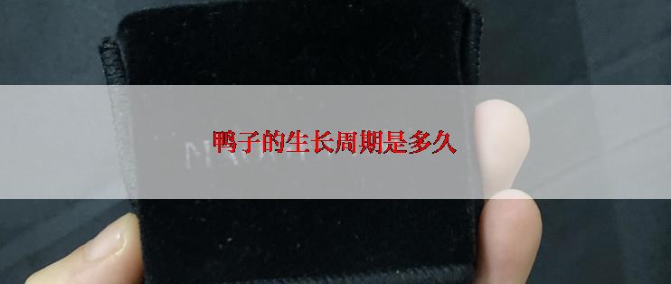 鸭子的生长周期是多久