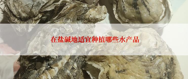  在盐碱地适宜种植哪些水产品