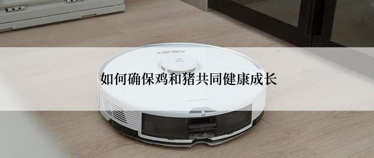  如何确保鸡和猪共同健康成长