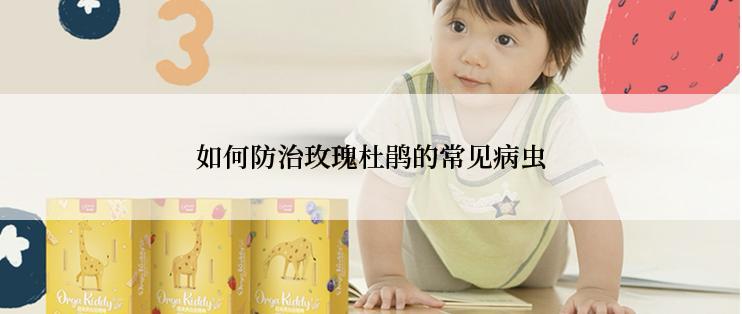 如何防治玫瑰杜鹃的常见病虫
