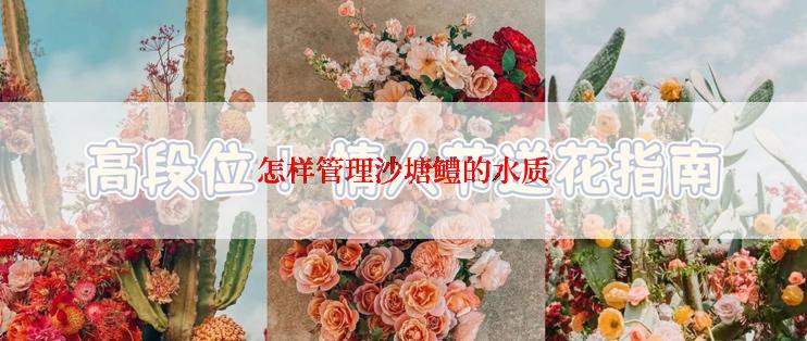 怎样管理沙塘鳢的水质