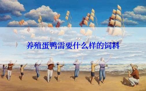 养殖蛋鸭需要什么样的饲料