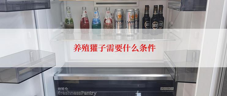  养殖獾子需要什么条件