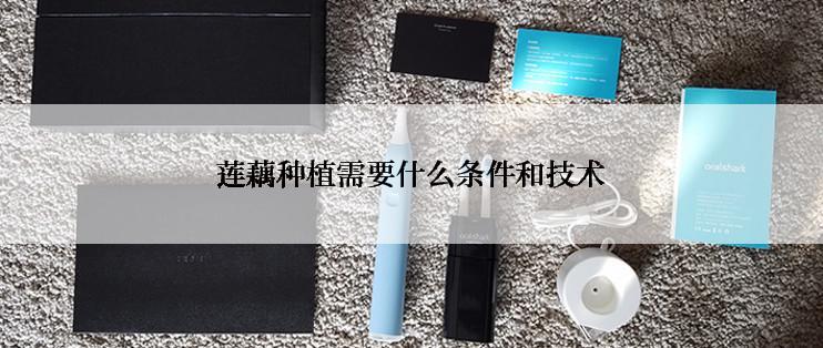 莲藕种植需要什么条件和技术