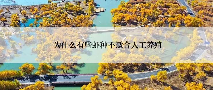  为什么有些虾种不适合人工养殖