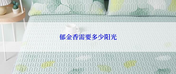 郁金香需要多少阳光