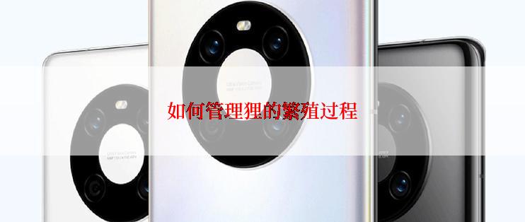 如何管理狸的繁殖过程