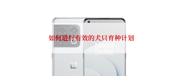  如何进行有效的犬只育种计划