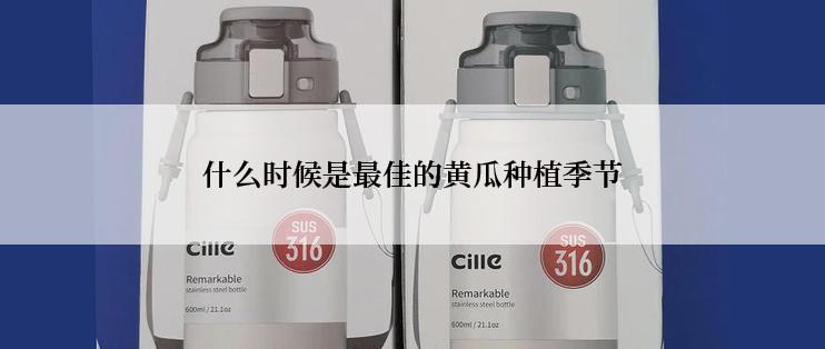 什么时候是最佳的黄瓜种植季节