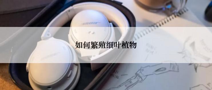 如何繁殖细叶植物