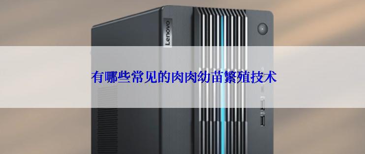  有哪些常见的肉肉幼苗繁殖技术