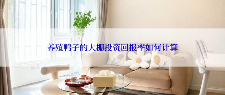养殖鸭子的大棚投资回报率如何计算