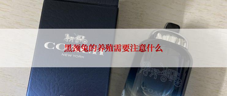黑颈兔的养殖需要注意什么