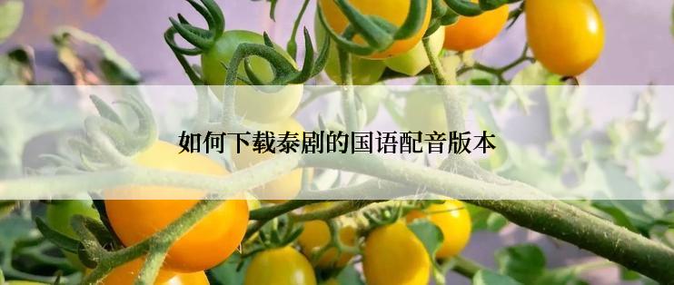 如何下载泰剧的国语配音版本