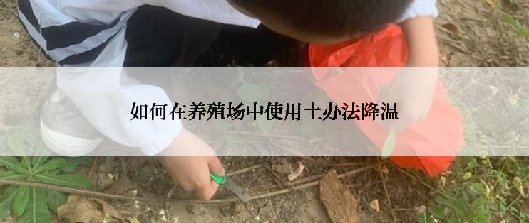 如何在养殖场中使用土办法降温