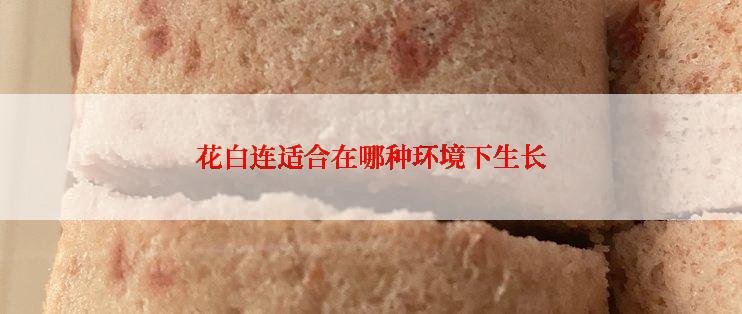 花白连适合在哪种环境下生长