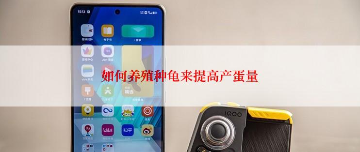 如何养殖种龟来提高产蛋量