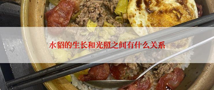 水貂的生长和光照之间有什么关系