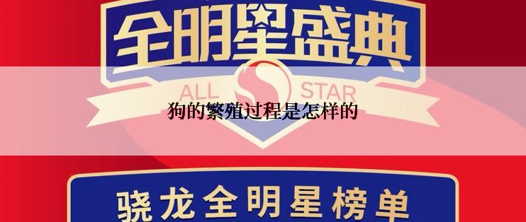 狗的繁殖过程是怎样的