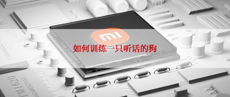 如何训练一只听话的狗