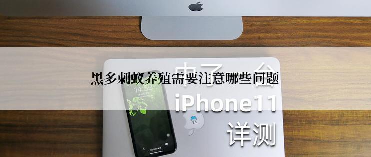 黑多刺蚁养殖需要注意哪些问题