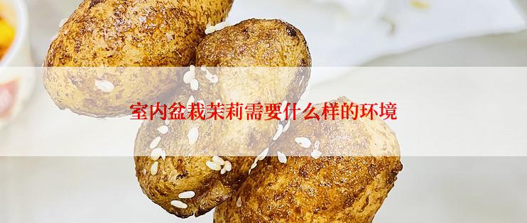 室内盆栽茉莉需要什么样的环境