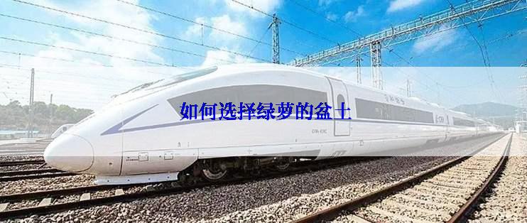  如何选择绿萝的盆土