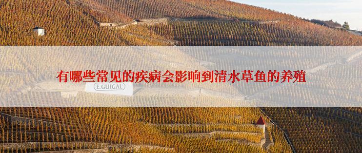 有哪些常见的疾病会影响到清水草鱼的养殖