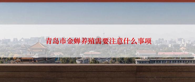  青岛市金蝉养殖需要注意什么事项