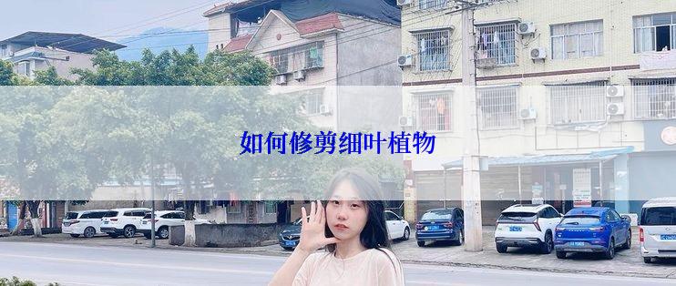 如何修剪细叶植物