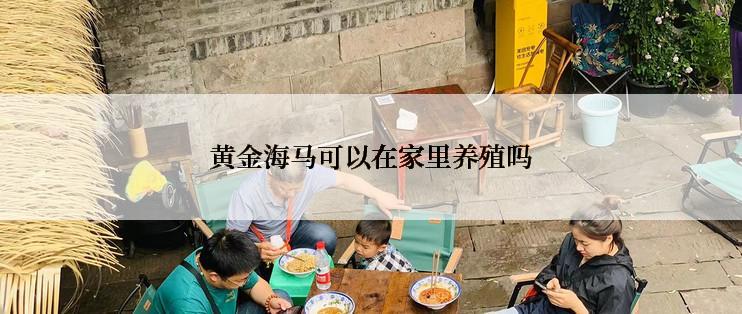 黄金海马可以在家里养殖吗