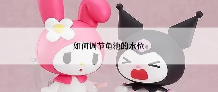 如何调节龟池的水位