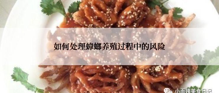 如何处理蟑螂养殖过程中的风险