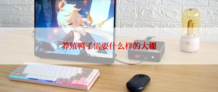 养殖鸭子需要什么样的大棚