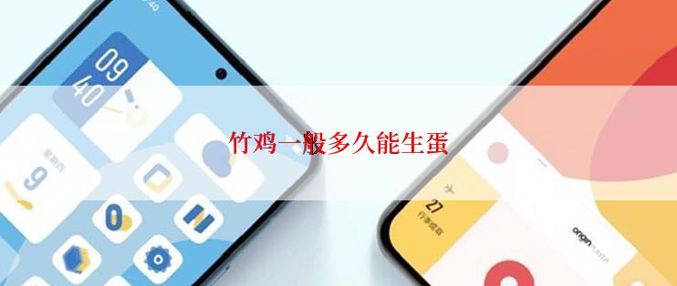 竹鸡一般多久能生蛋