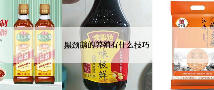 黑颈鹅的养殖有什么技巧