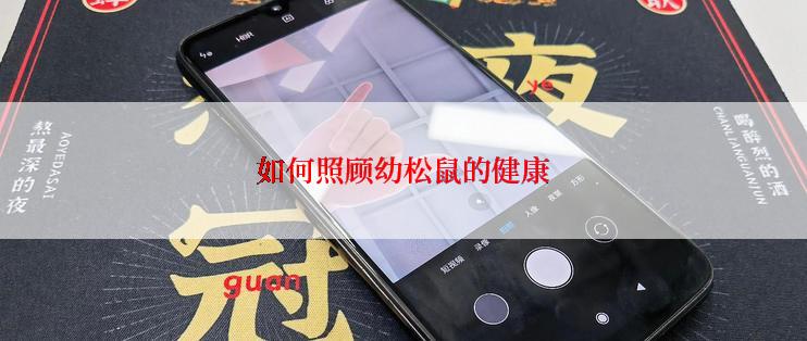 如何照顾幼松鼠的健康